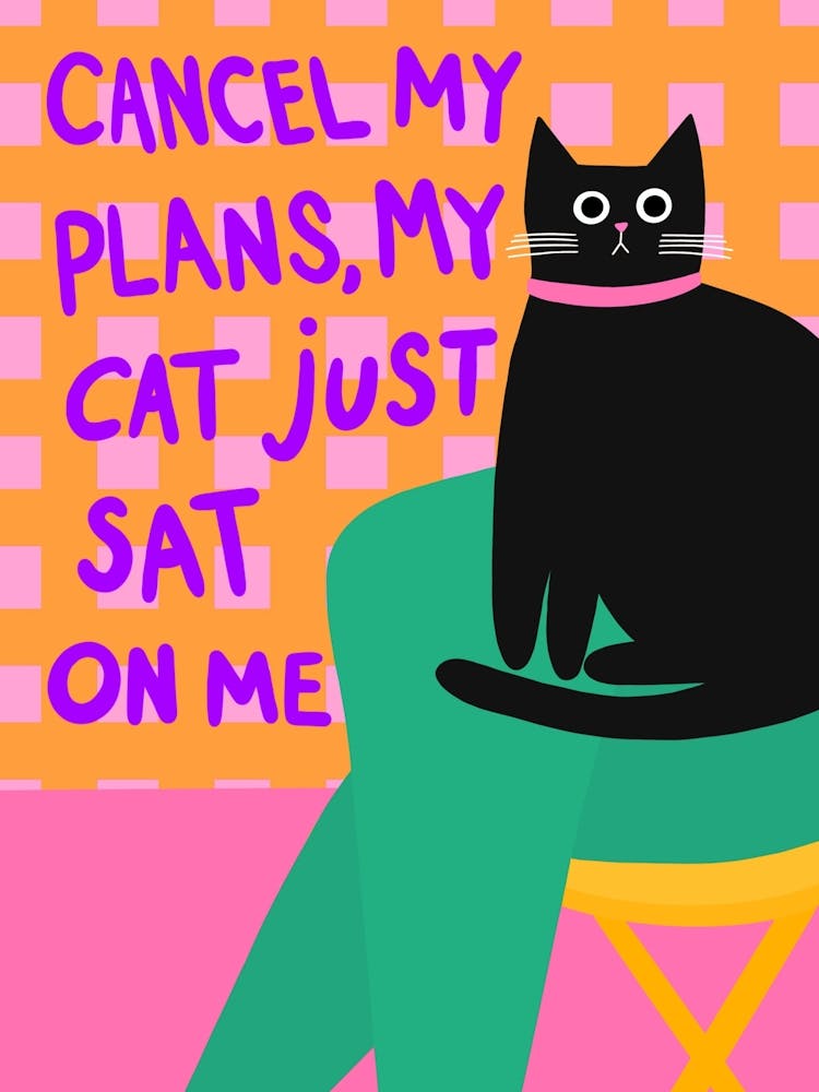 Cat Plans 1