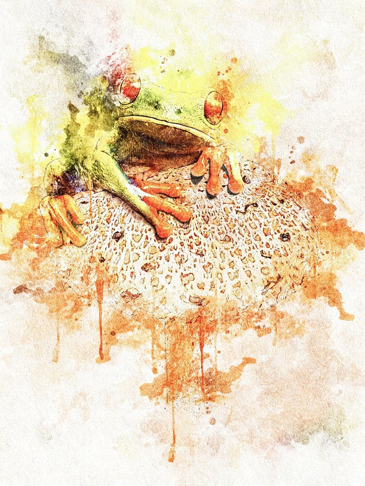 Frosch Aquarellmalerei