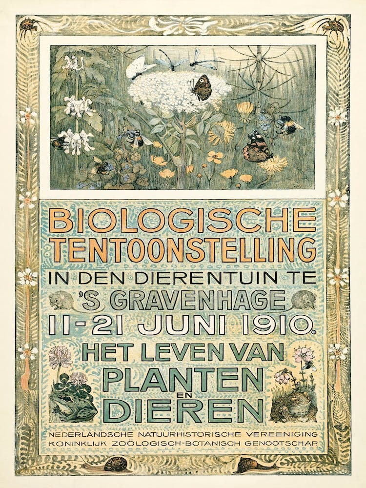Poster Of The Biological Exhibition (1910), Theo Van Hoytema