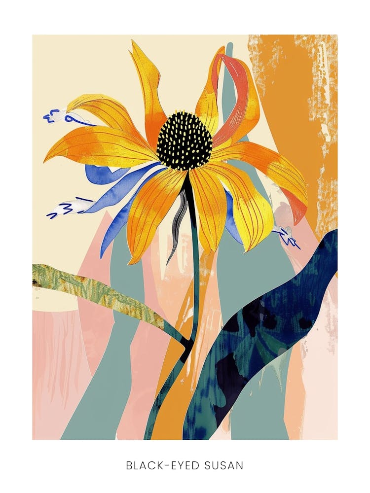 Colourful Flower Illustration Poster Black Eyed Susan 3