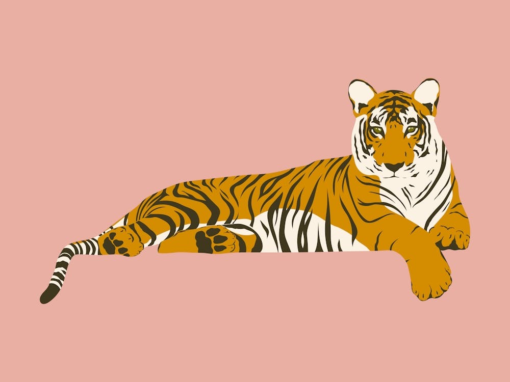 Tiger Relaxing - Pink