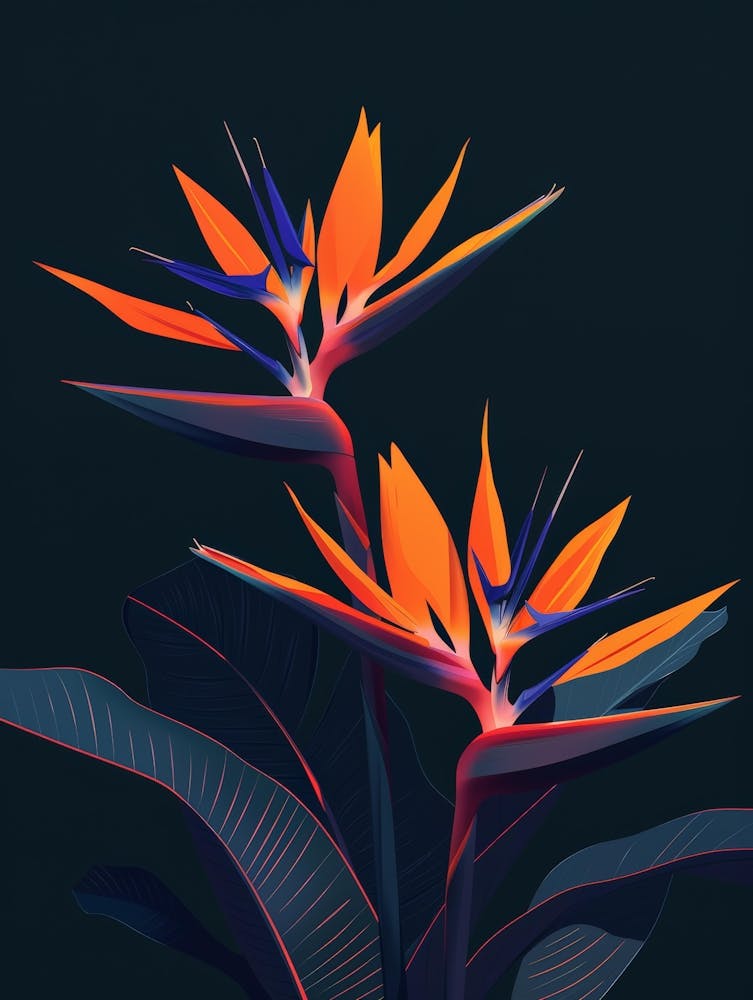 Bird Of Paradise 14