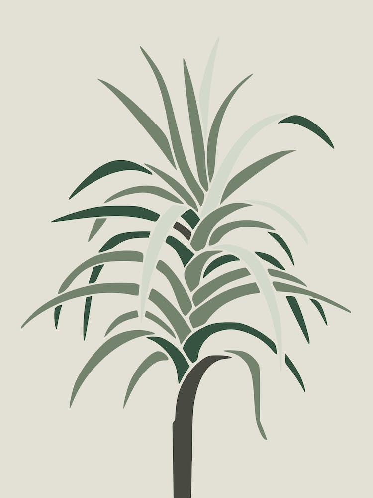 Palm Portrait