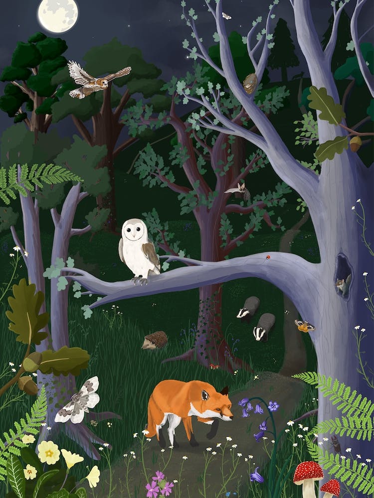 Woodland Mood