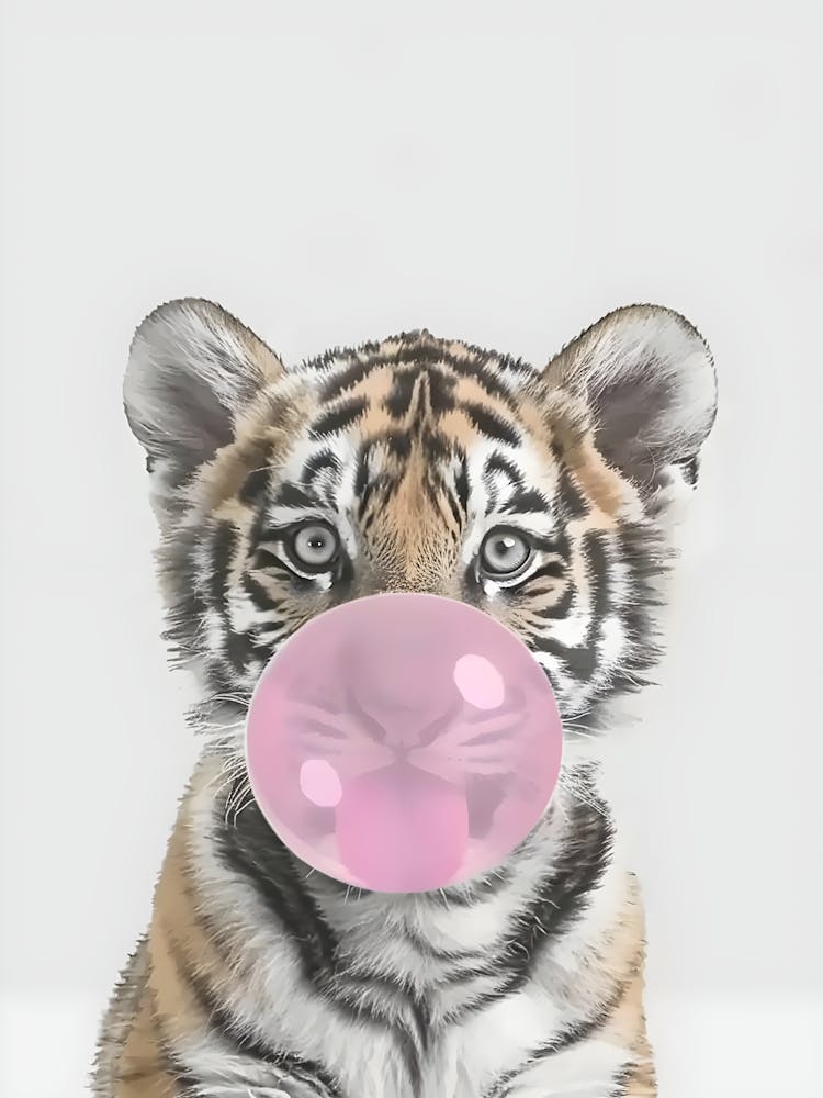 Tiger Chewing Gum 1