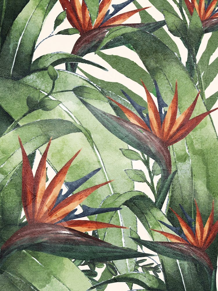 Tropical Flora I