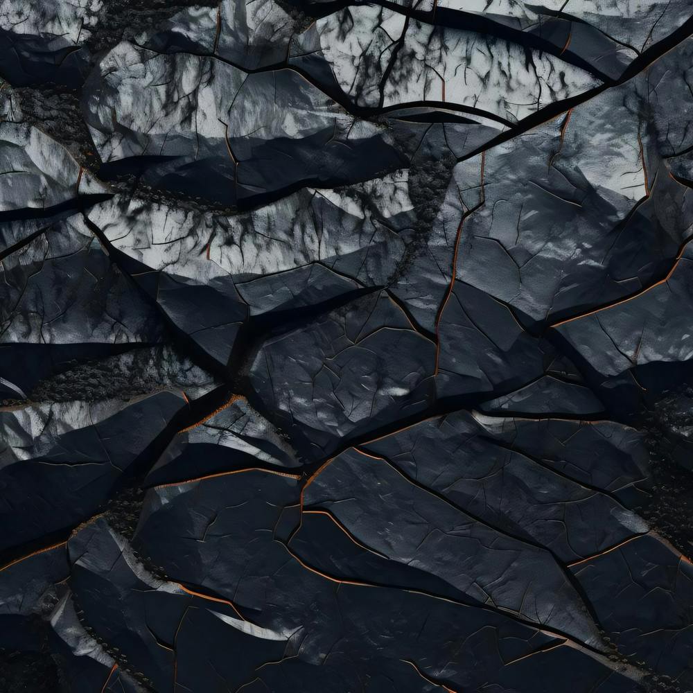 Black Cracks In The Rock