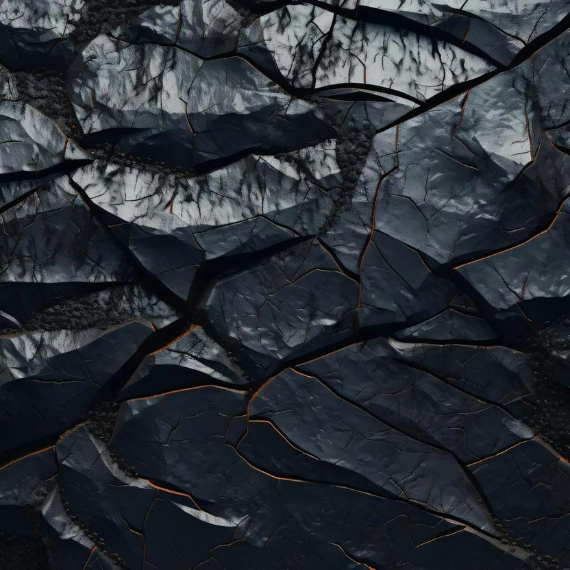 Black Cracks In The Rock