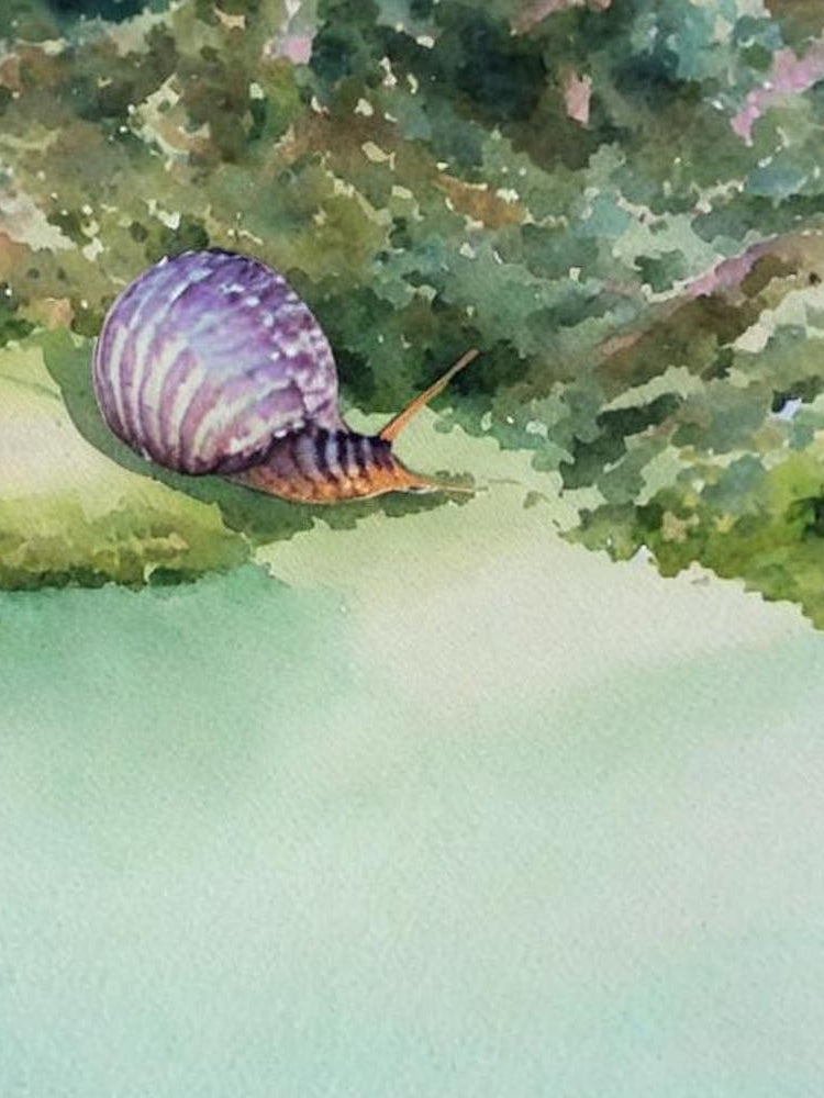 Sea Snail Storybook Watercolour