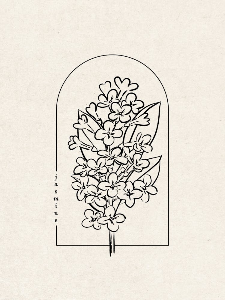 Jasmine Flower