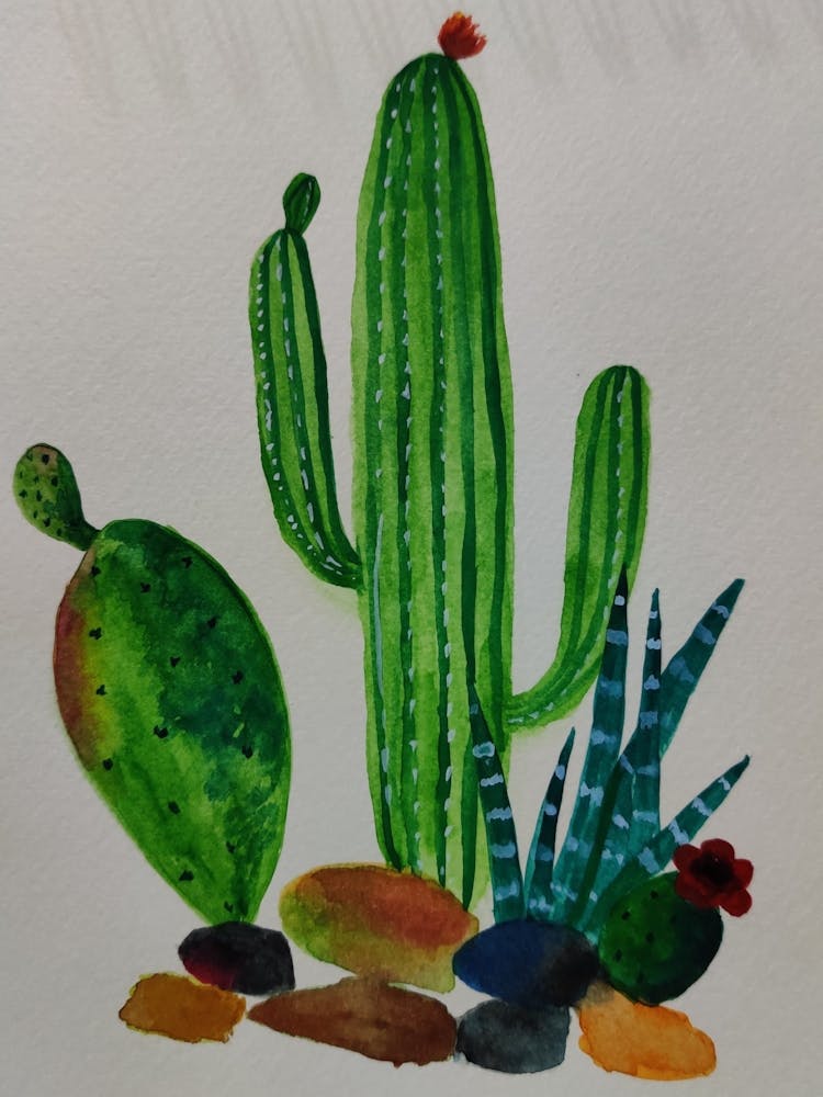Cactus Painting