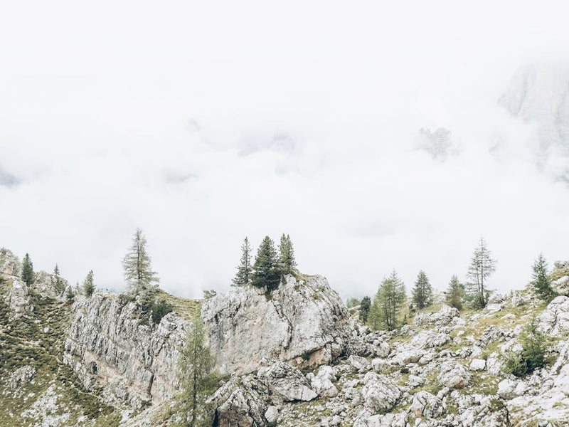 Dolomites, Italy I Panoramic skyline view of Cinque Torri mountain ridge in the clouds and fir trees for a mysterious minimalist misty Alps nature landscape with moody fine art photography aesthetic