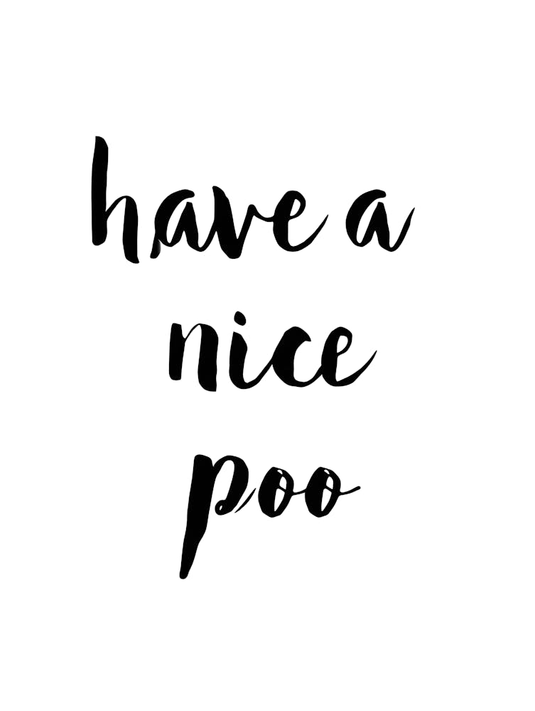 Humorous Bathroom Reminder - Have a Nice Poo