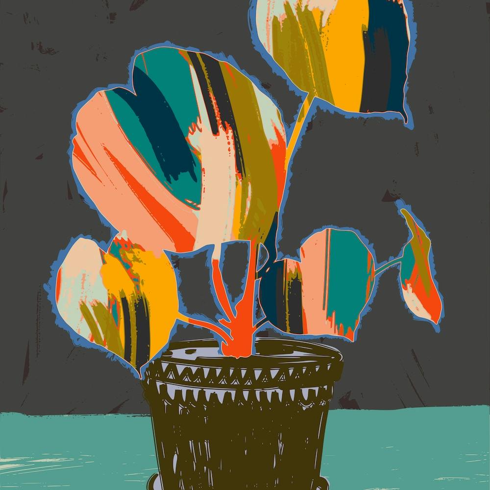 Colorful Plant Pot Square