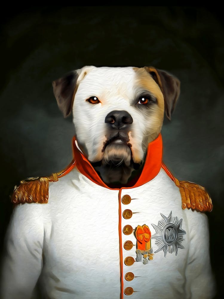 Kind Pitbull Mozart Pet Portraits