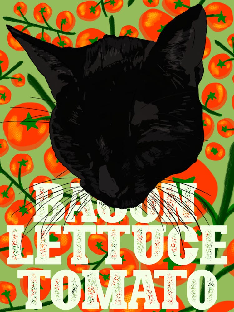 Bacon Lettuce Tomato - BLT Sandwich and Black Cats