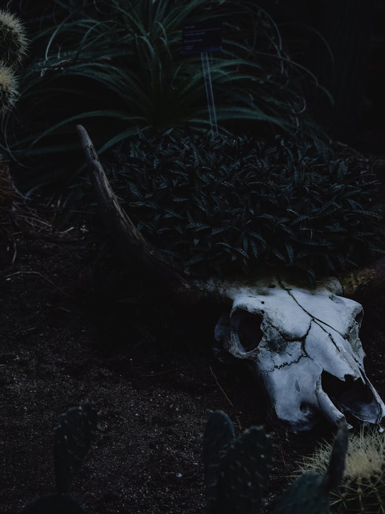 Whoever knows, whoever saw