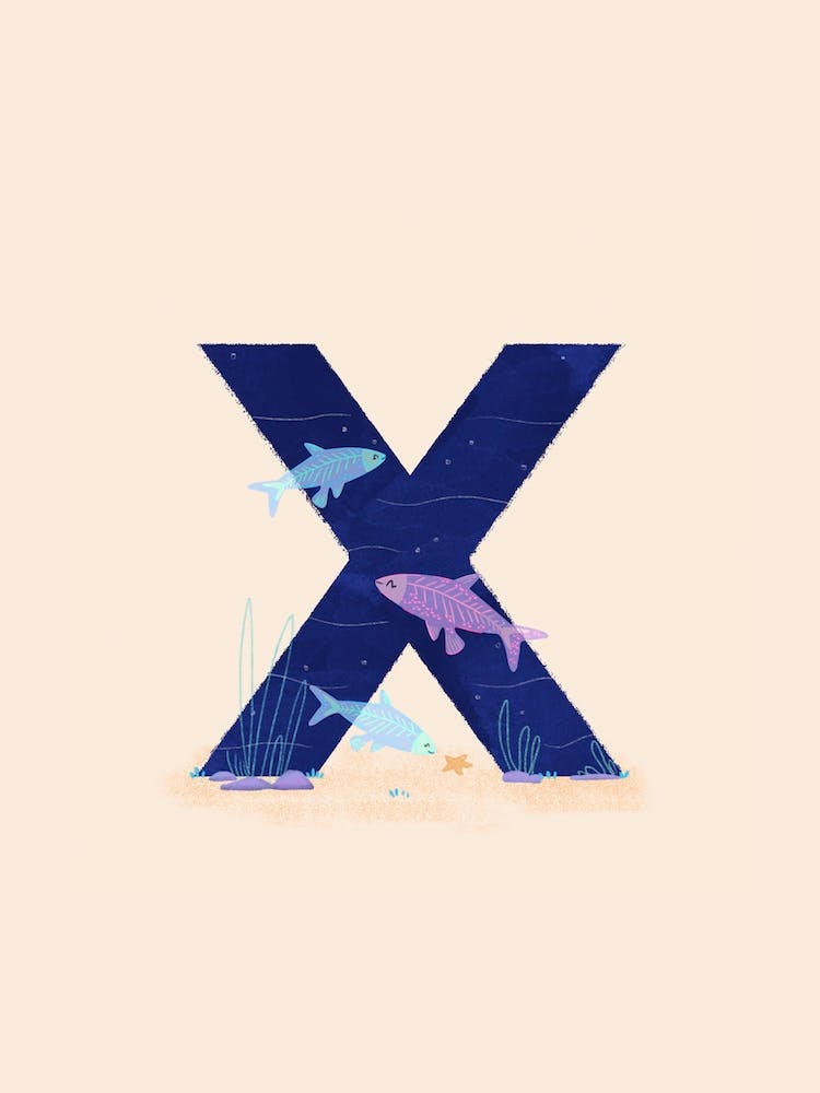 Letter X Xray Fish