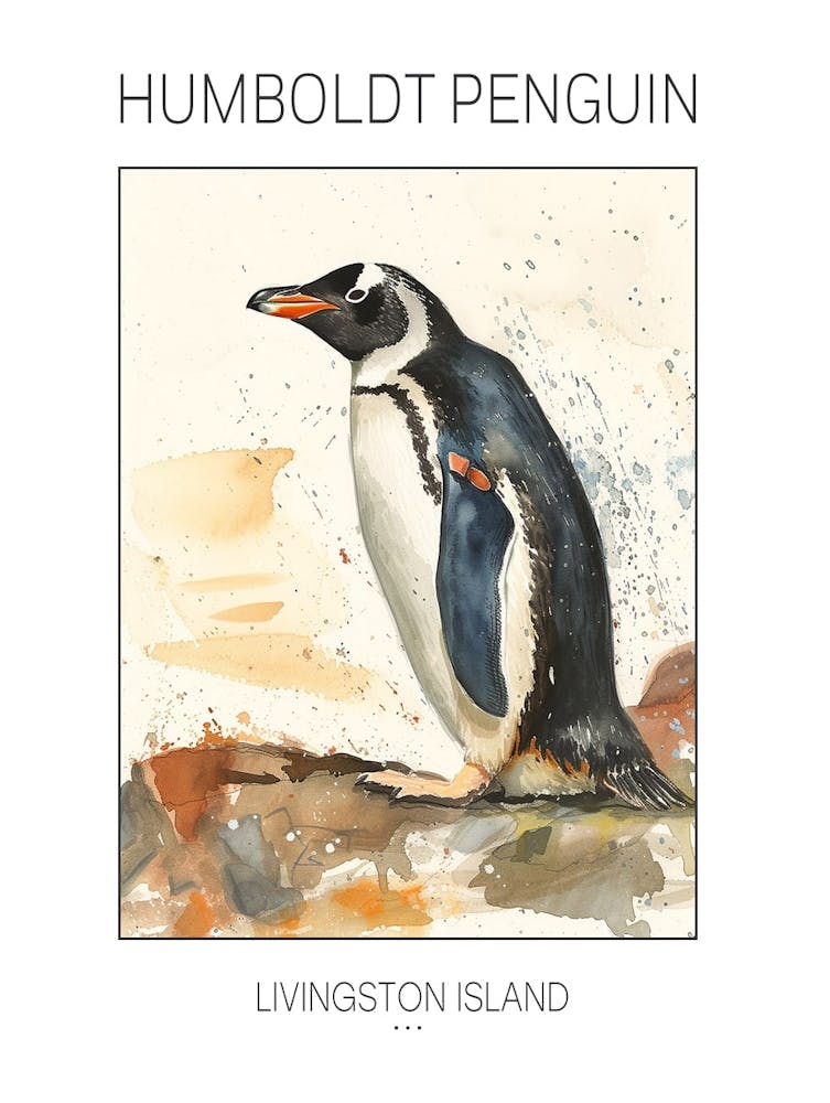 Humboldt Penguin Livingston Island Watercolour Painting 3 Poster