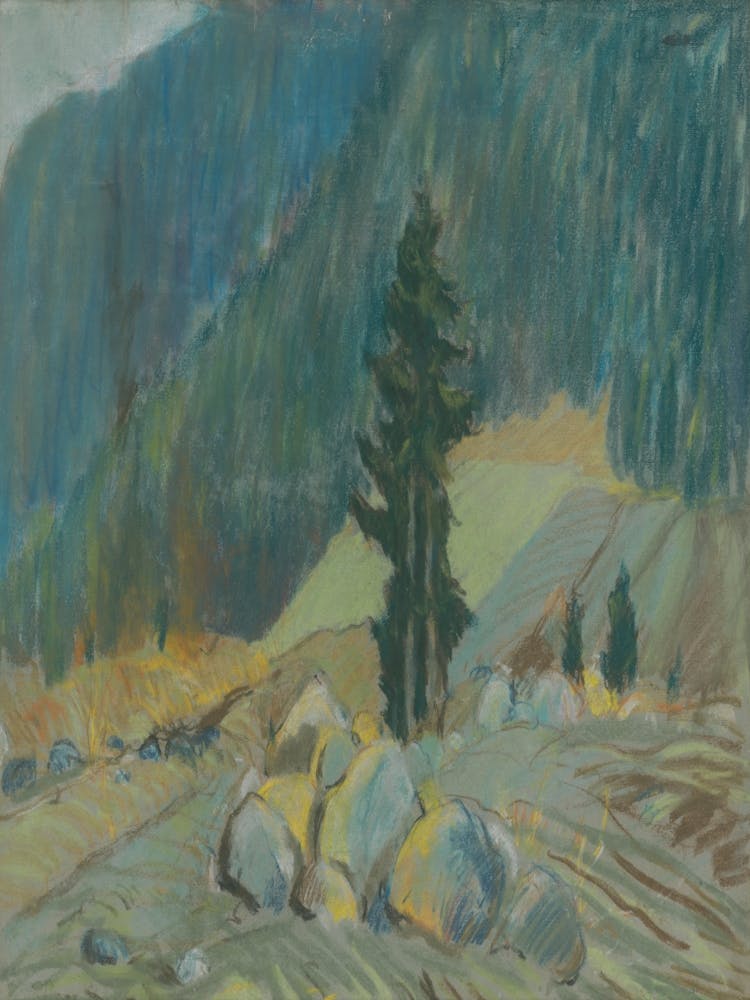 Pine Tree In The Mountains