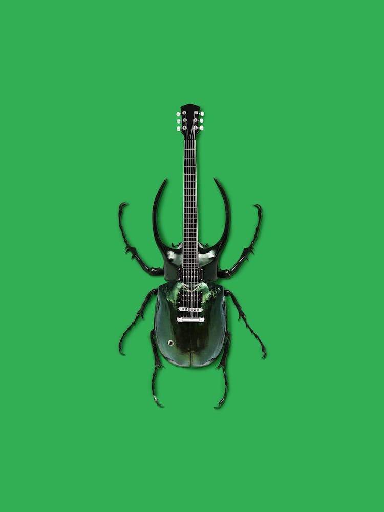 Guitar Bug