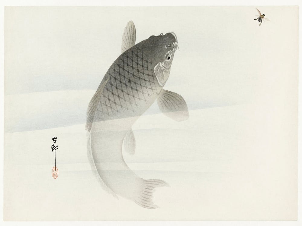 Carp And Fly (1900 1930), Ohara Koson