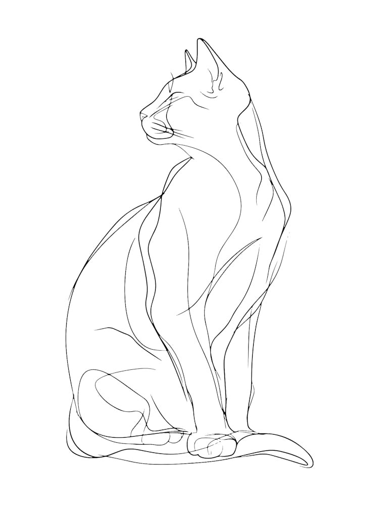 Cat Drawing Monoline Artistic Minimalist 1