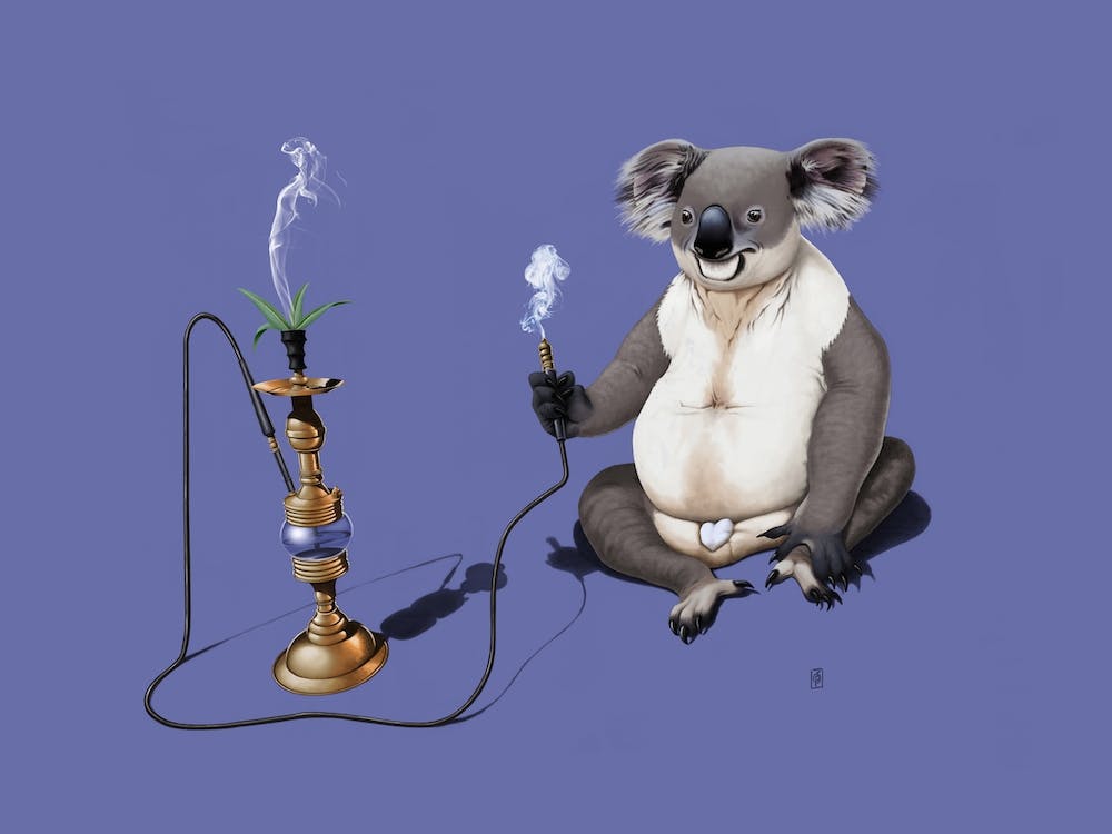 What a Drag! (Colour)