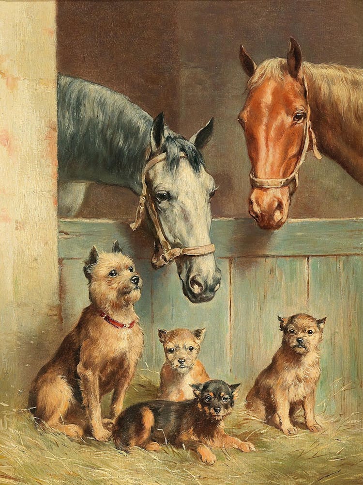 Family Of Horses And Dogs