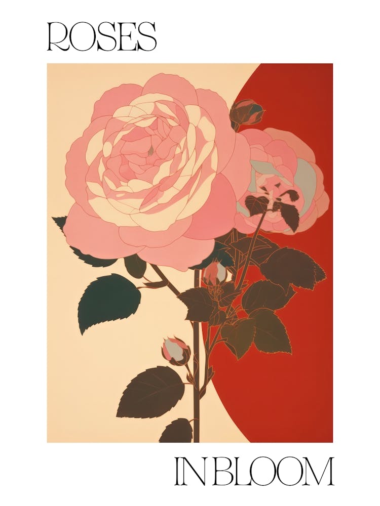 Roses In Bloom Flowers Bold Illustration 1