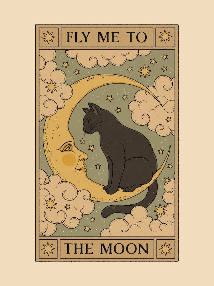 Fly Me To The Moon