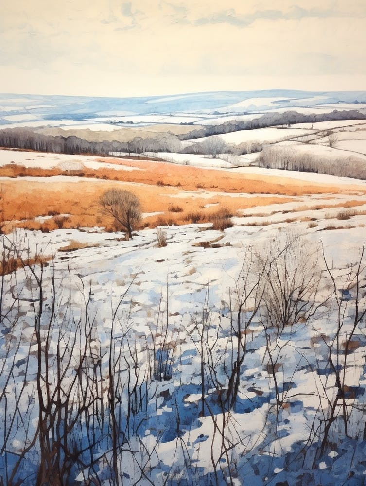 The North York Moors England 4