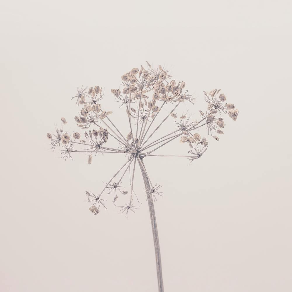 Beauty Of Nature Winter Mood Square