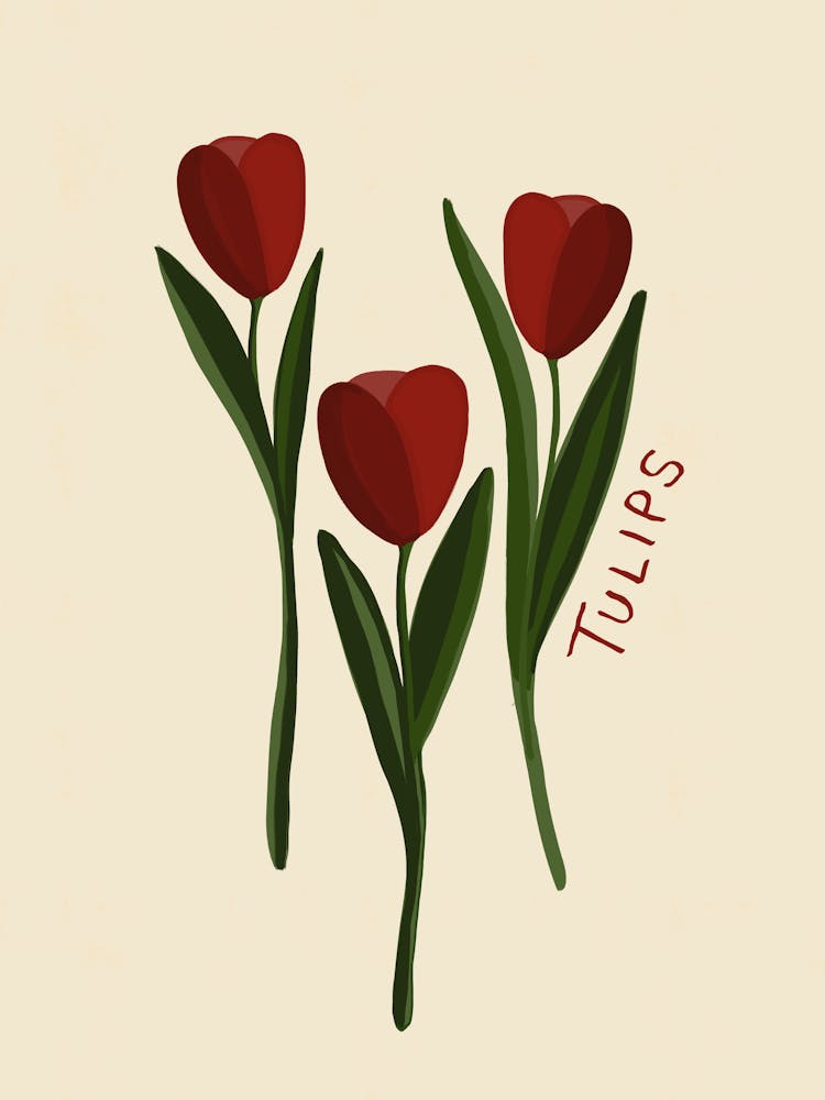 Neutral Red Tulips