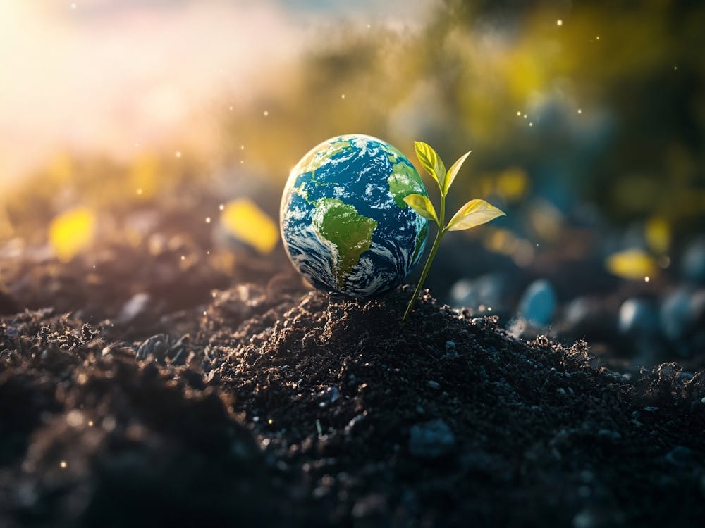 Earth With Green Plant