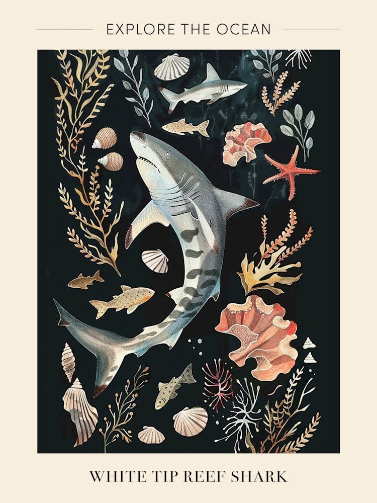 White Tip Reef Shark Seascape Black Background Illustration 3 Poster