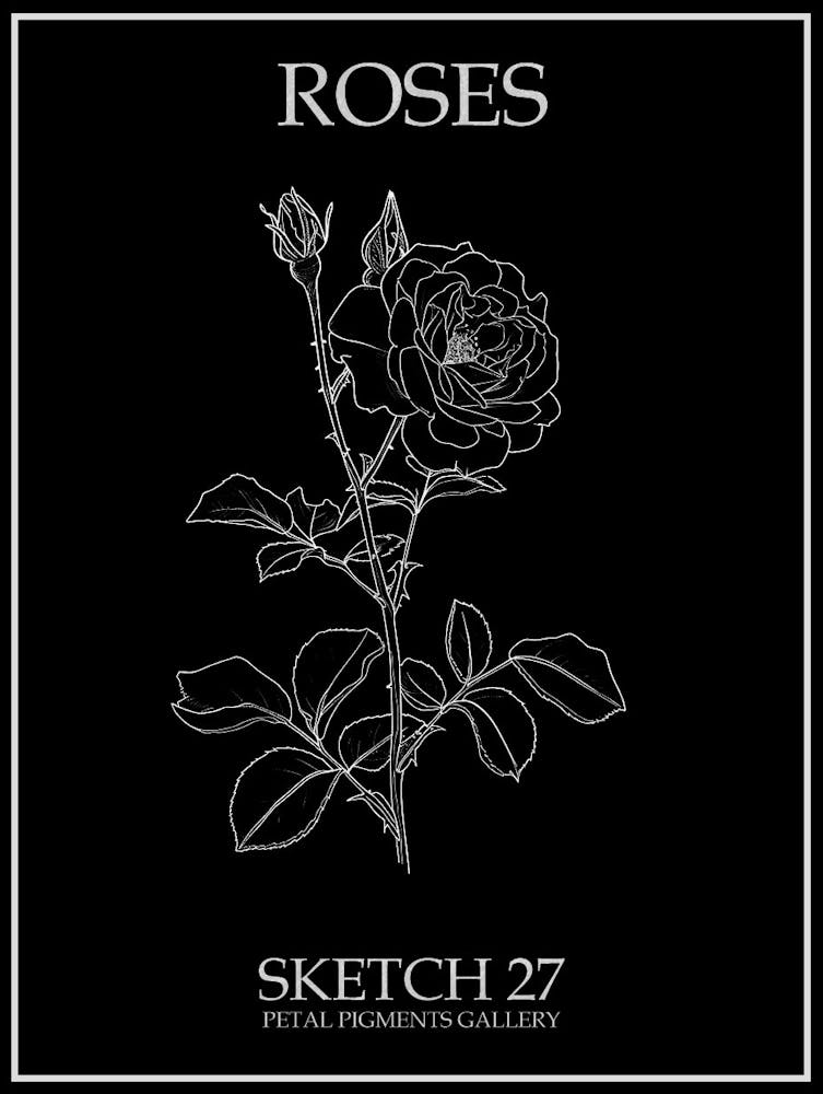 Roses Sketch 27 Poster Inverted