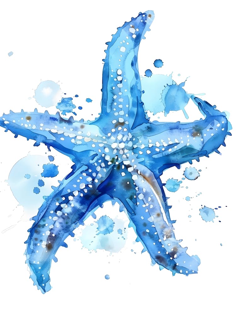 Watercolor Starfish 3