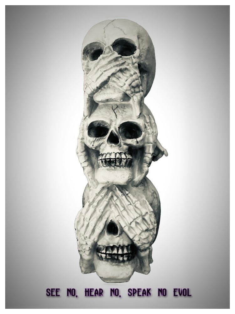 Skulls-See No Hear No Speak No Evol