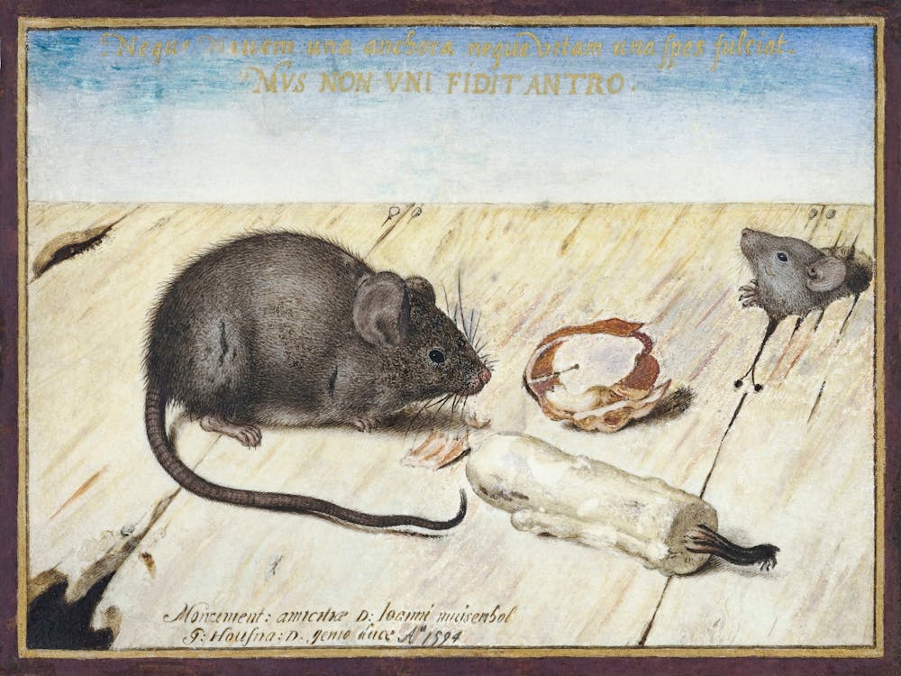 Two Mice (1594), Joris Hoefnagel