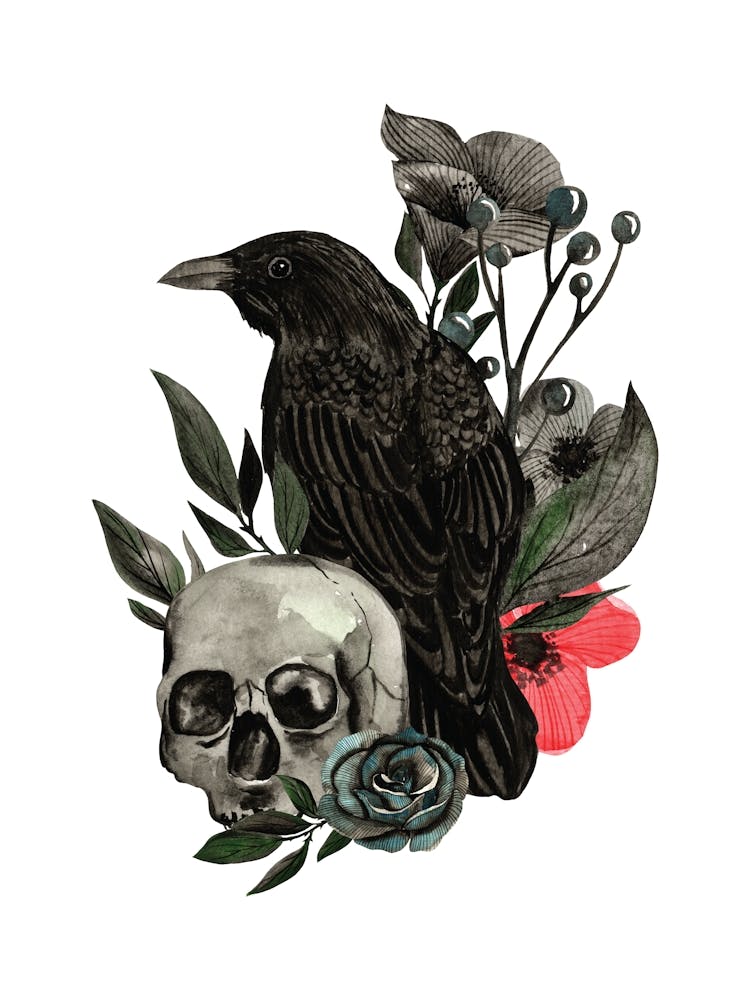 Crow And Skull hand drawn watercolor illustration