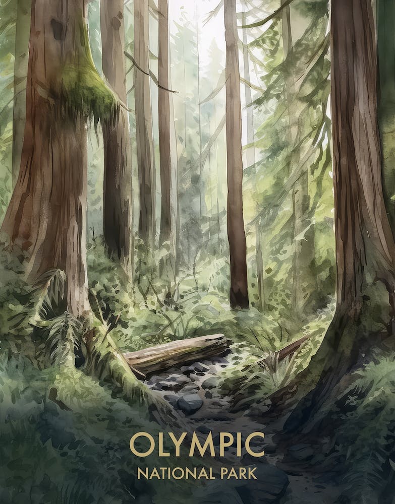 Olympic National Park Watercolour Vintage Travel Poster 4