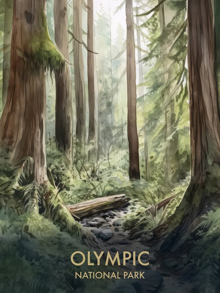 Olympic National Park Watercolour Vintage Travel Poster 4