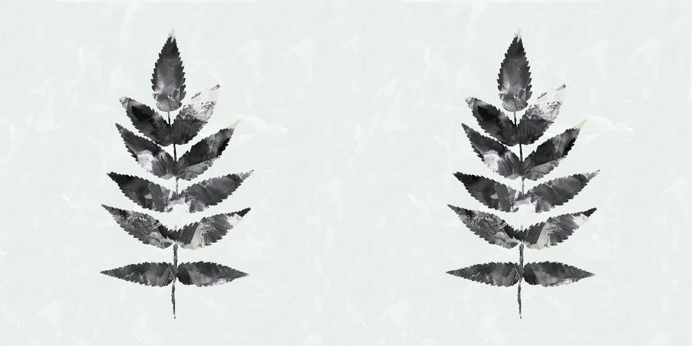 Black White Botanical Watercolour Leave