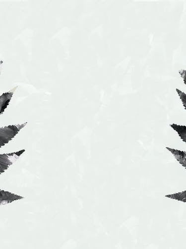 Black White Botanical Watercolour Leave