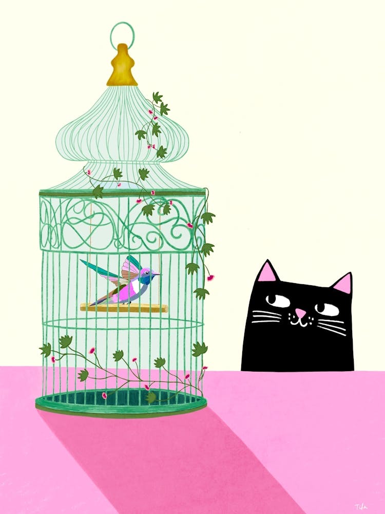 Cat and Hummingbird