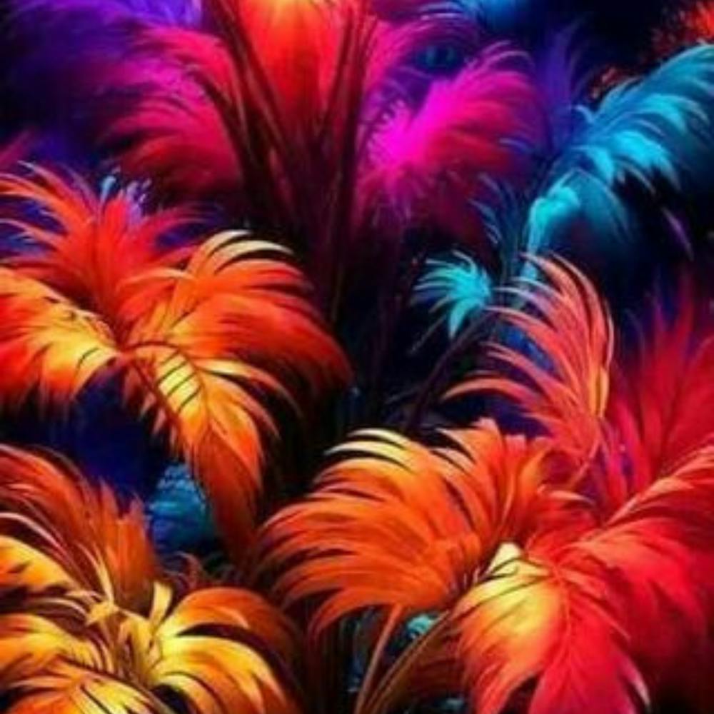 Colorful Flowers