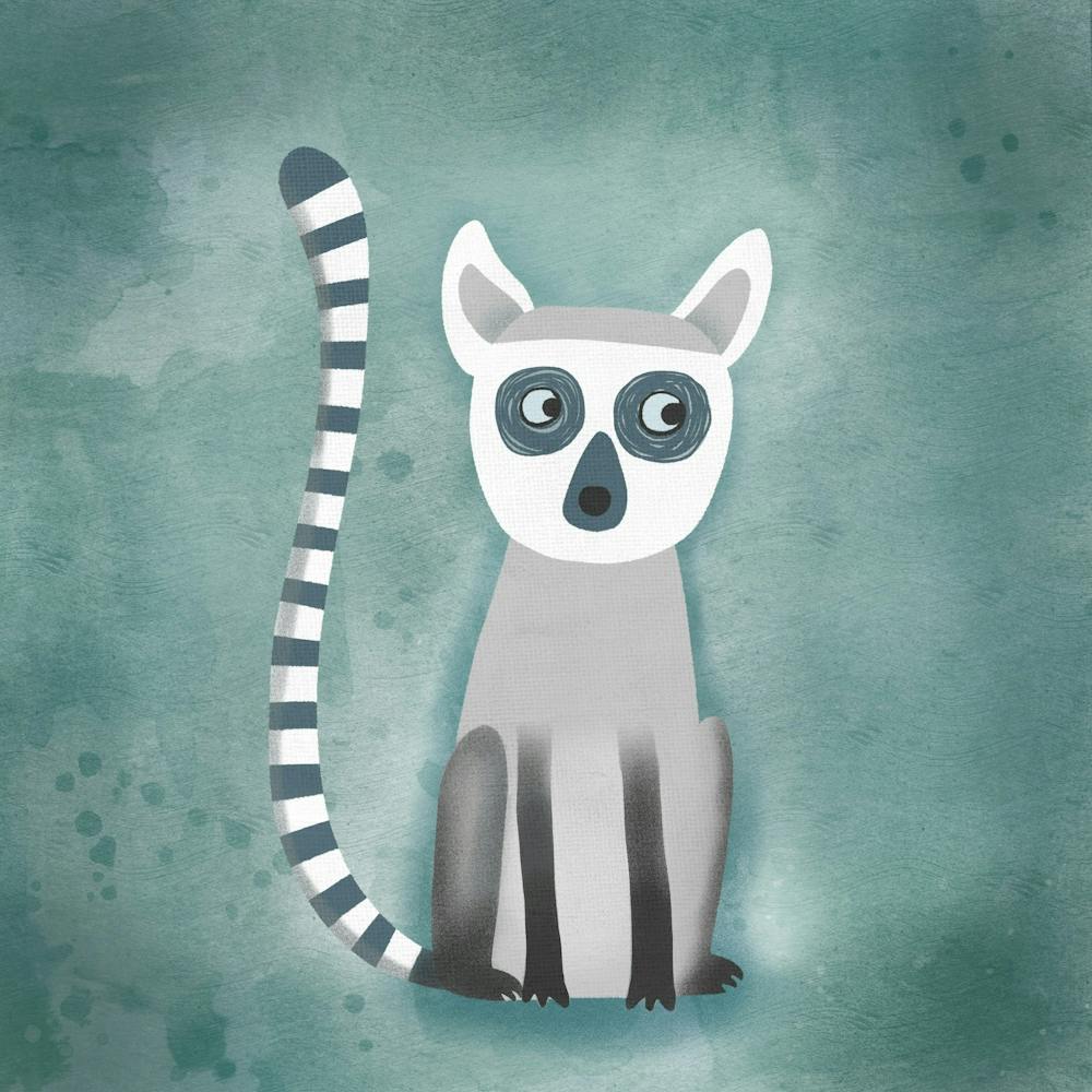 Ring Tailed Lemur