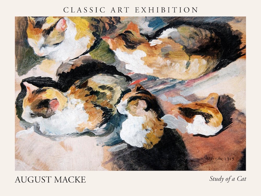 Study Of A Cat, August Macke Poster