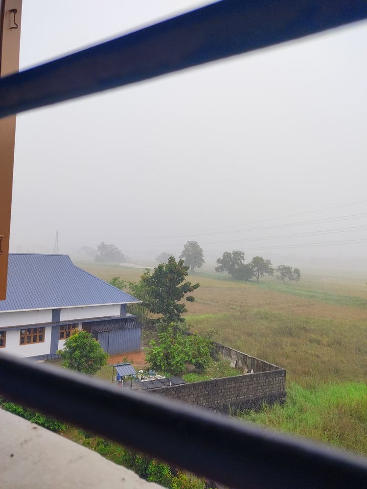 Foggy Morning